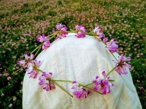 蓮華畑で緑肥作戦 Ja多気郡奥伊勢えごま倶楽部